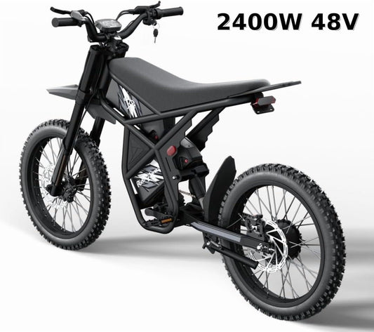 2400W 48V Electric Dirt Bike for Adults Ridingtimes GT73,brushless Hub Motor,18.2AH*2 Electric BIKE with 25" tires digital screen Carbon Steel,BLACK