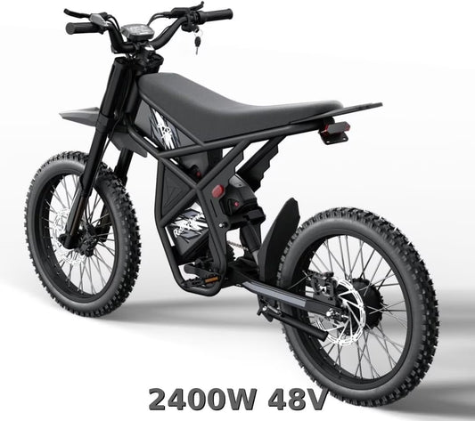 2000W Electric Dirt Bike for Adults Ridingtimes GT73 UL2849,Brushless Hub Motor,18.2AH*2 Electric Bike with 25\" tires digital screen Carbon Steel,Black